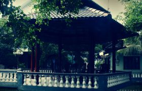 Nhà Nuôi Yến